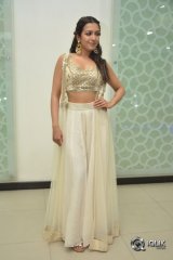 Catherine Tresa At Goutham Nanda Movie Success Meet